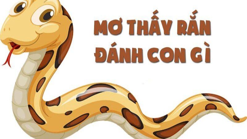 Pasted 52 Nằm mơ thấy rắn đánh con gì mang ý nghĩa ra sao?